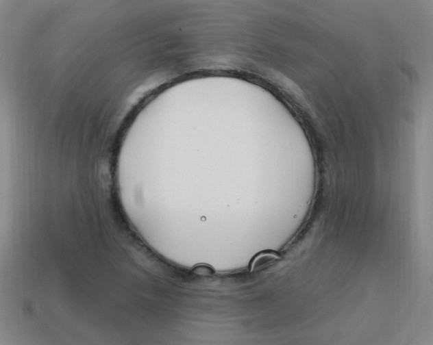 X0000113871218200910221327