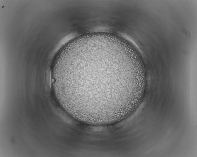 X0000113871219200910221328