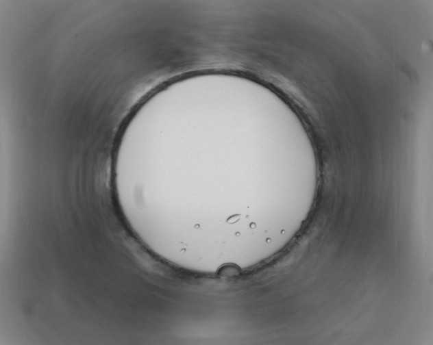 X0000113871220200910221328