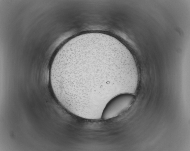 X0000113871221200910221328