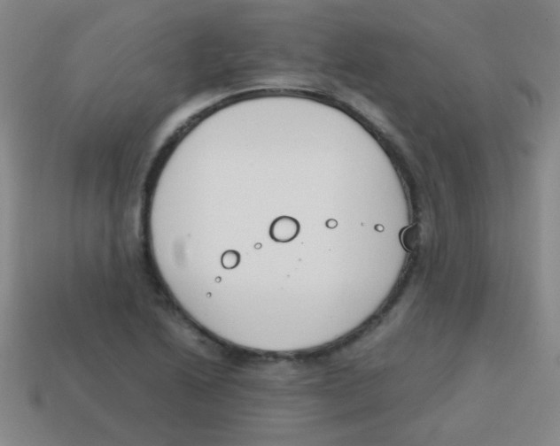 X0000113871222200910221328