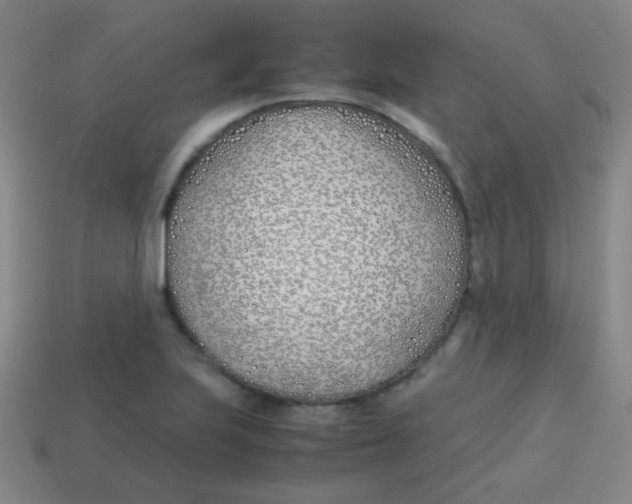 X0000113871223200910221328