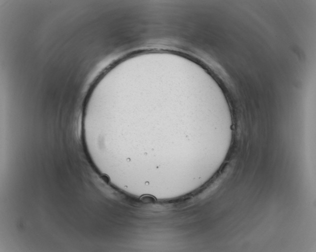 X0000113871224200910221328