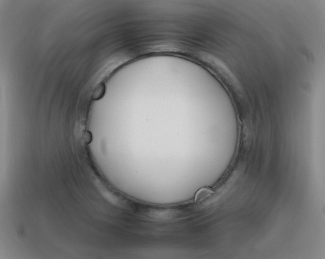 X0000113871225200910221328