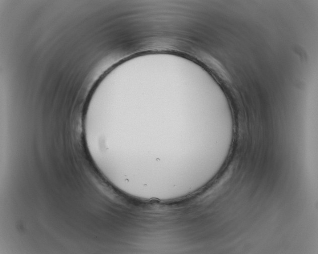 X0000113871226200910221328