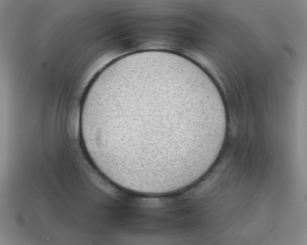 X0000113871227200910221328