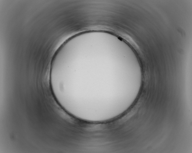 X0000113871228200910221328