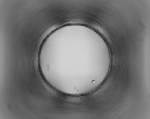 X0000113871229200910221328