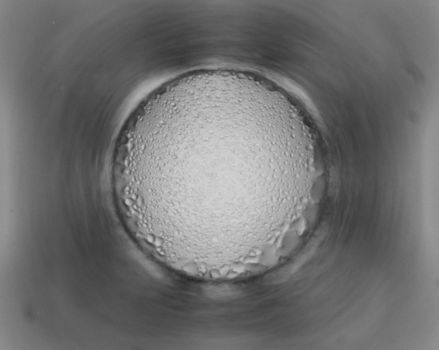 X0000113871231200910221328