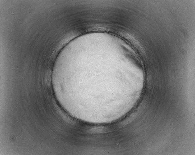 X0000113871233200910221328