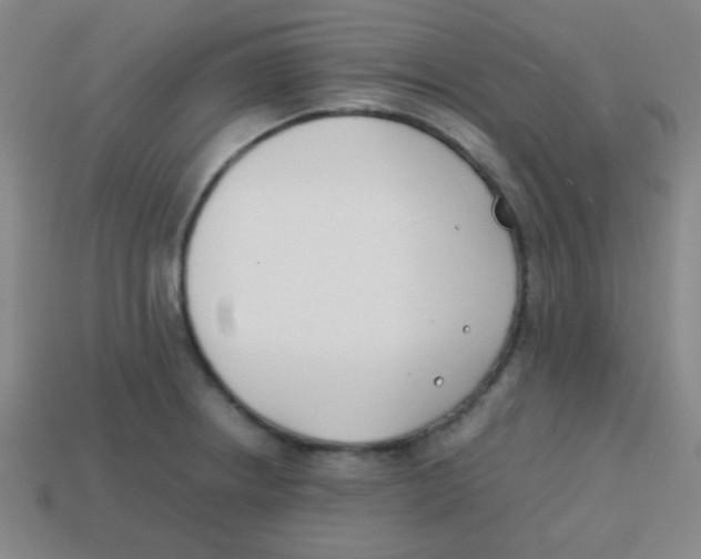 X0000113871234200910221328