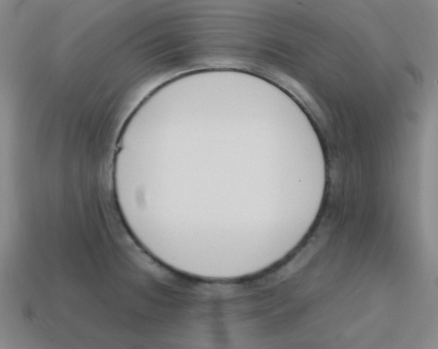 X0000113871236200910221328