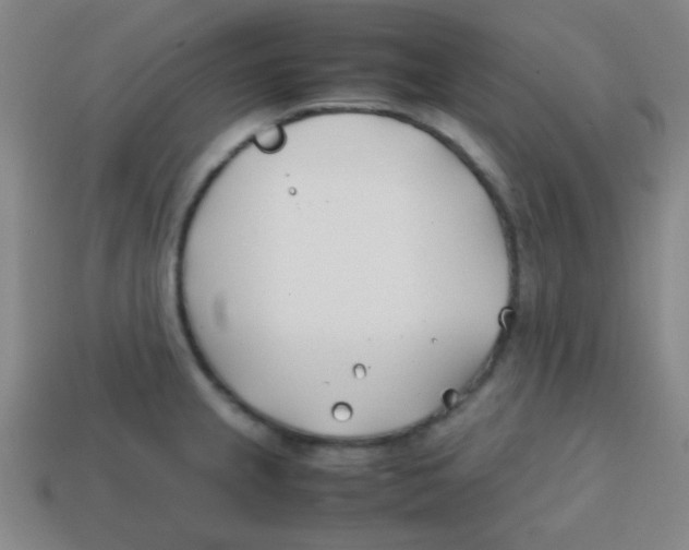 X0000113871237200910221328