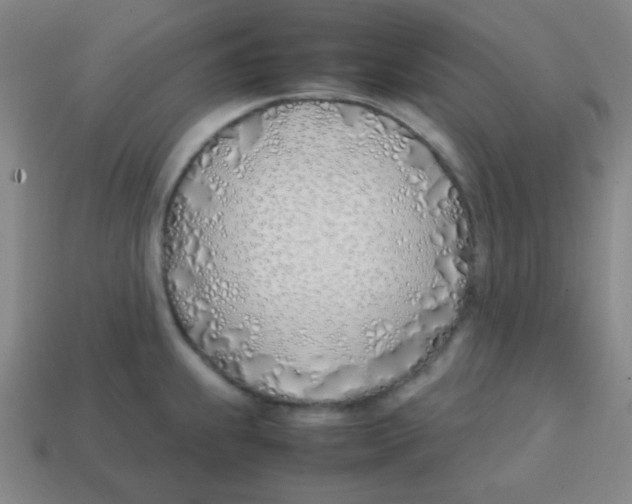 X0000113871239200910221328