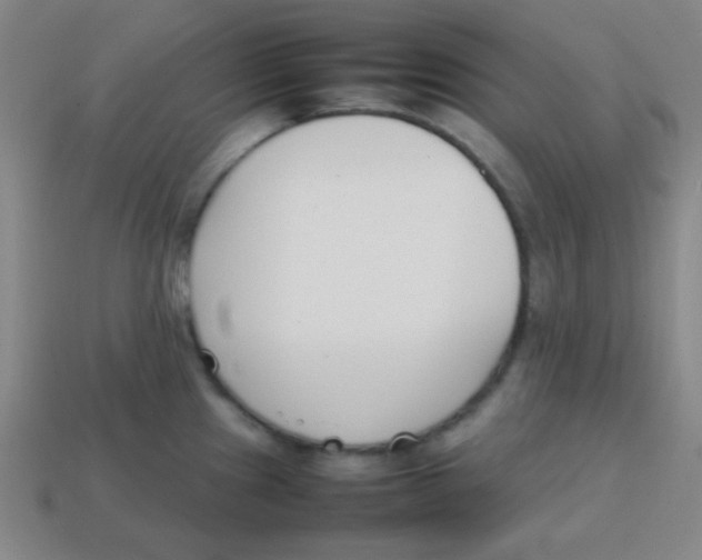 X0000113871241200910221328