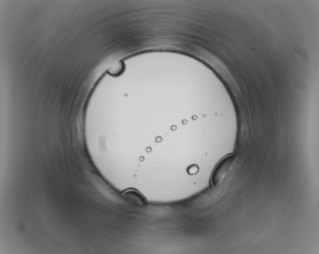 X0000113871242200910221328