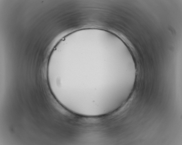 X0000113871246200910221328