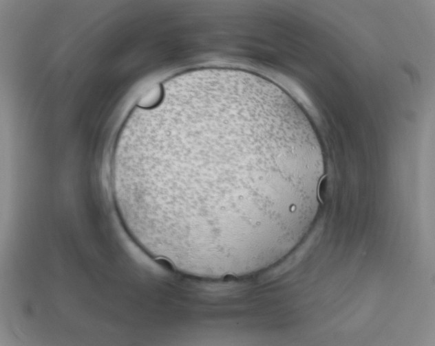 X0000113871247200910221328