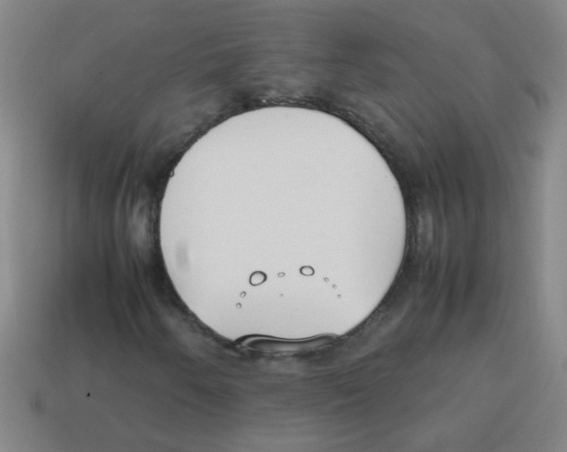 X0000113871250200910221327