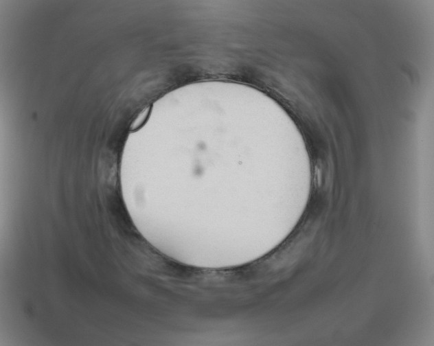 X0000113871251200910221327