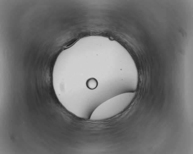 X0000113871252200910221327