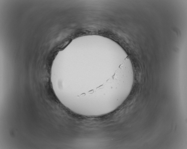 X0000113871253200910221327