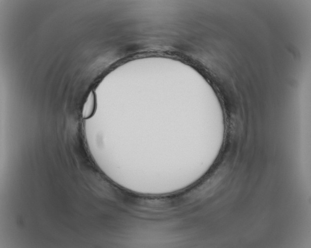 X0000113871257200910221327