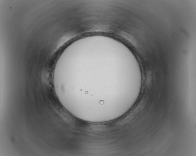 X0000113871258200910221327