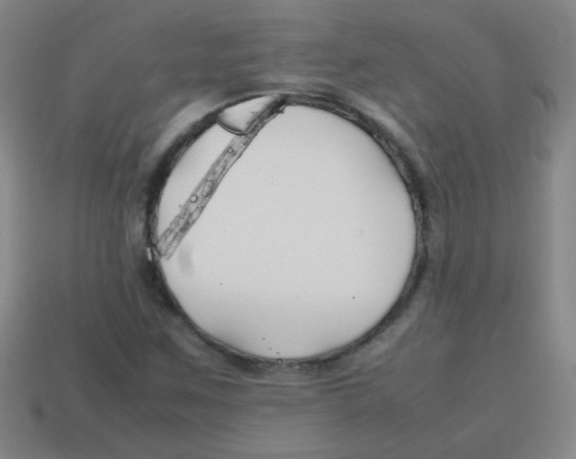 X0000113871259200910221327