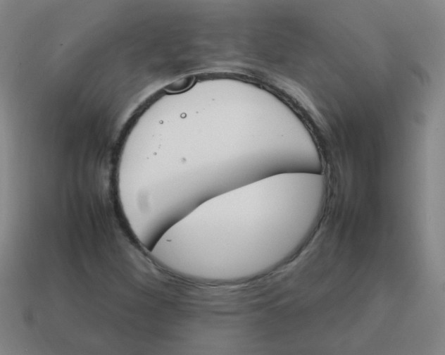 X0000113871260200910221327