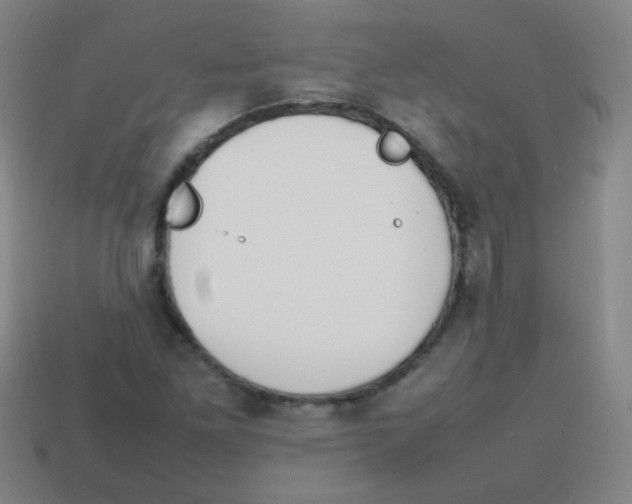 X0000113871261200910221327