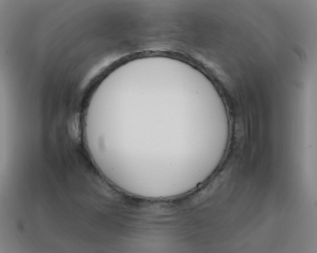 X0000113871262200910221327