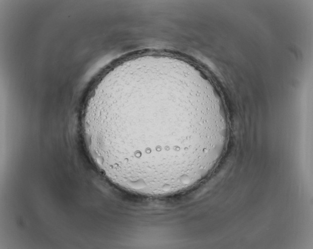 X0000113871263200910221327