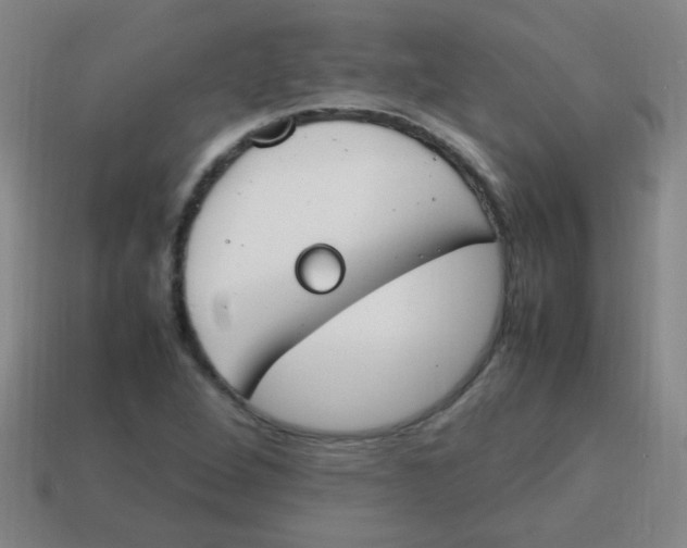 X0000113871264200910221327