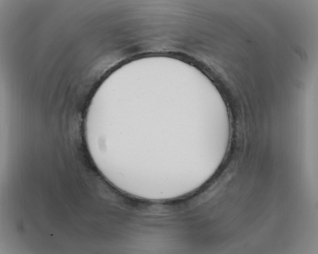 X0000113871265200910221327