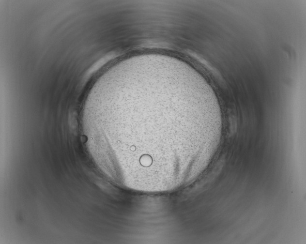 X0000113871266200910221327