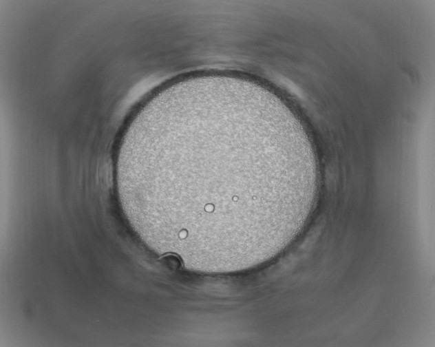 X0000113871267200910221327