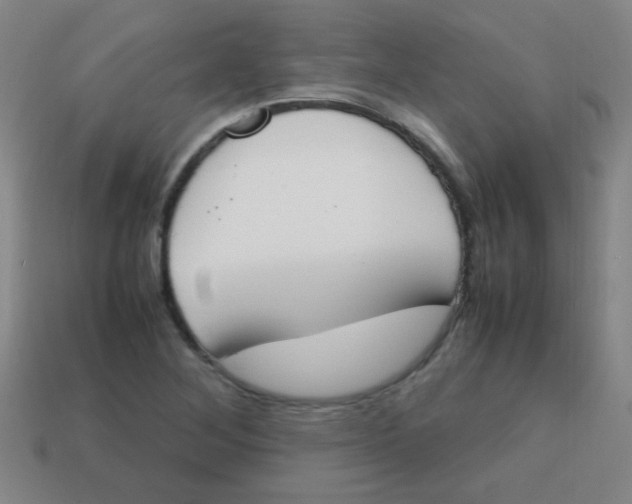 X0000113871268200910221327