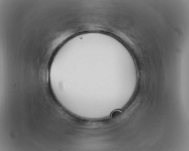 X0000113871269200910221327