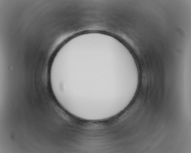 X0000113871270200910221327