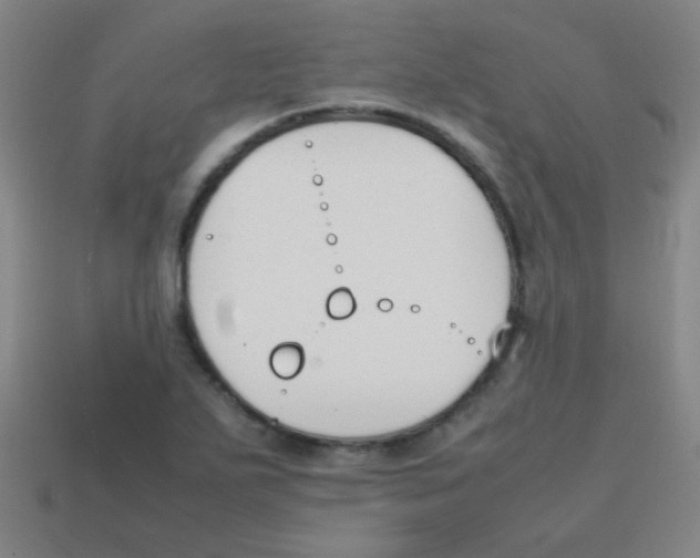 X0000113871271200910221327