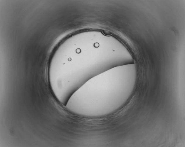 X0000113871272200910221327