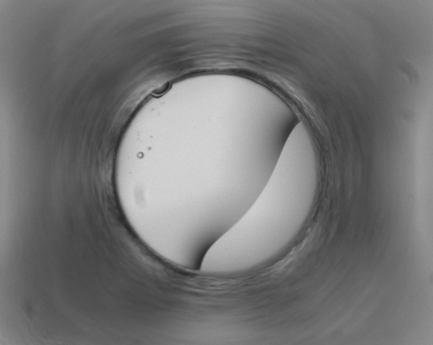 X0000113871273200910221327