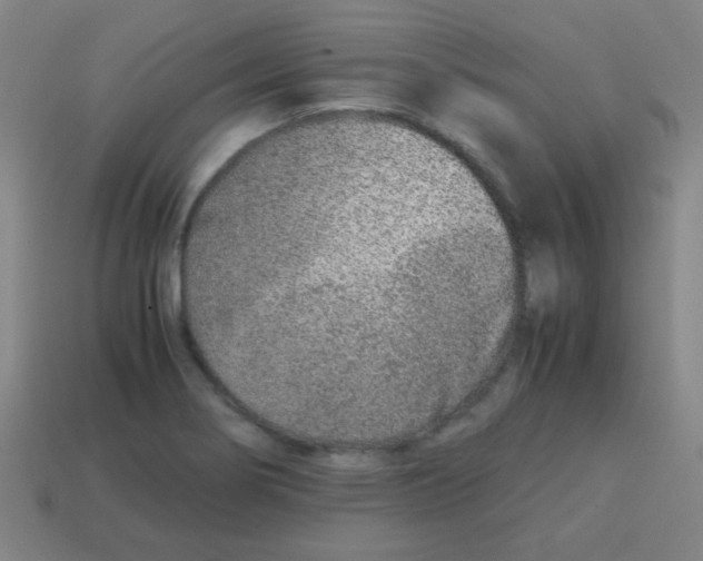 X0000113871274200910221327
