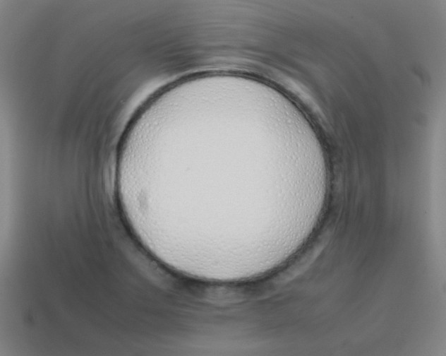 X0000113871275200910221327