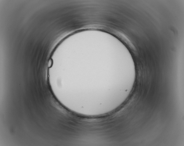 X0000113871276200910221327