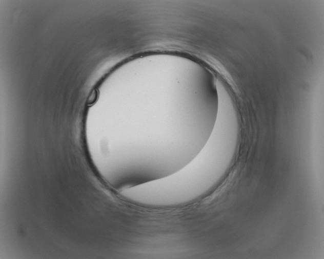 X0000113871277200910221327