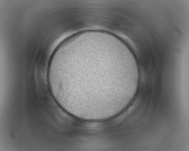 X0000113871278200910221327