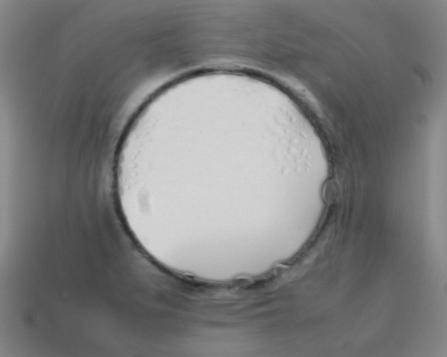 X0000113871279200910221327