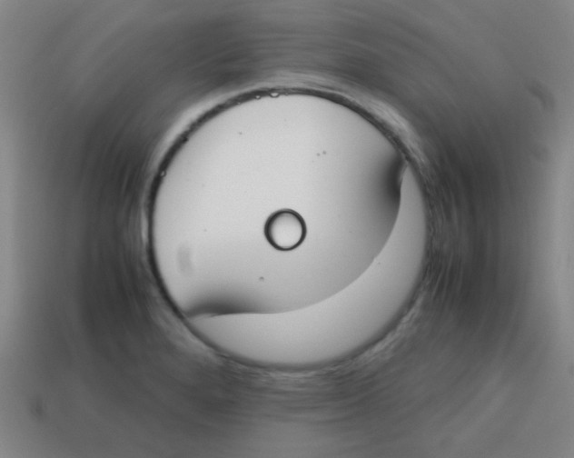 X0000113871280200910221327